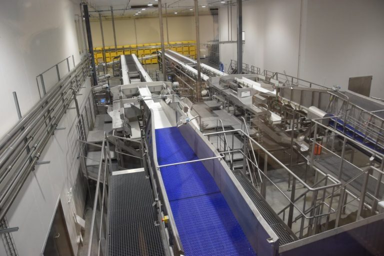 Could pack almost 10,000 tonnes of salmon a week in Hirtshals