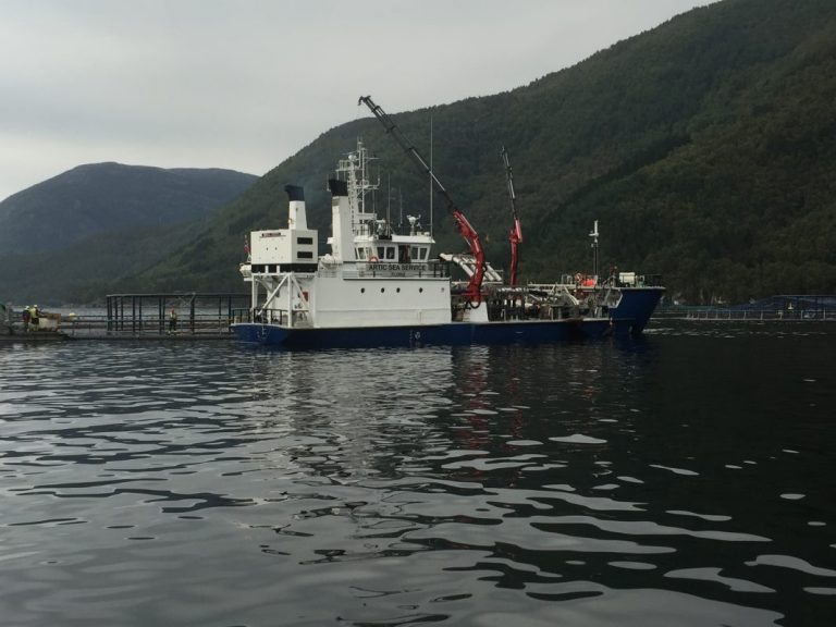 Artic Group use chemical-free delousing system on service vessel