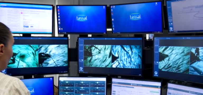 Is the salmon world’s most advanced feed centre in Hobart, Australia?