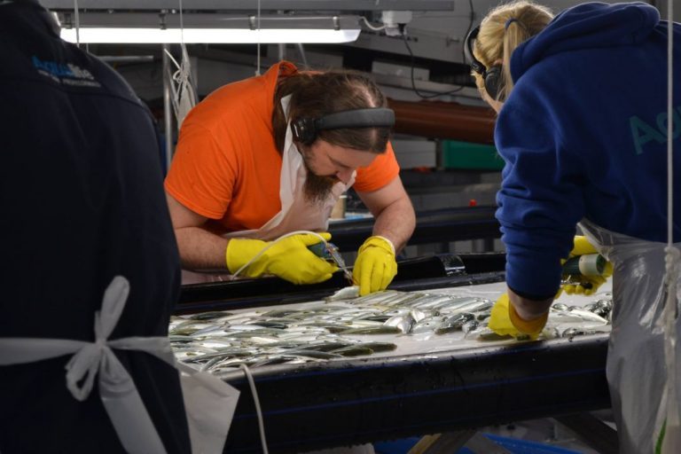 Aquaculture Vaccines Market: Top trends propelling the industry demand through 2027