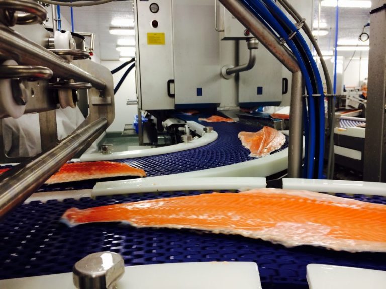 Reduced harvesting activity in Northern Norway raises salmon prices next week