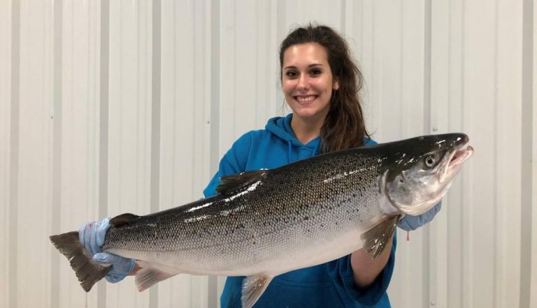 Aquaponic land-based salmon farmer to boost production by 844 %