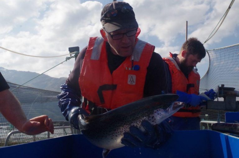 Scottish salmon exports surge during the first three months of this year