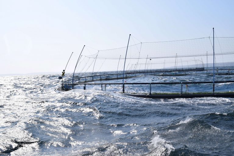 Cooke Aquaculture collaborating on study to track sulphide levels on seabed near salmon farms