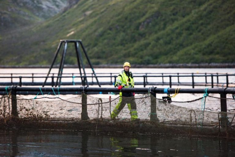 Norway Royal Salmon suing NTS after blocking proposed share issue