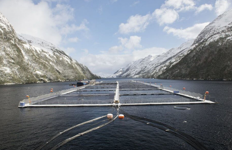 ‘Serial offender’ Nova Austral runs afoul of Chile’s environmental watchdog