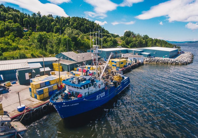 Mowi processor gets $300,000 loan to find value in salmon waste