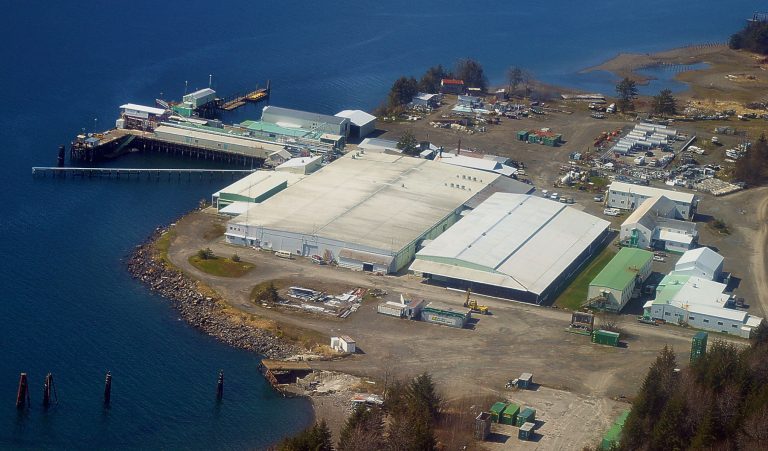 Ocean Beauty Seafoods and Cooke owned Icicle Seafoods join hands on wild salmon operations globally