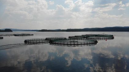 37240728_2083879185193754_6754268339943505920_n