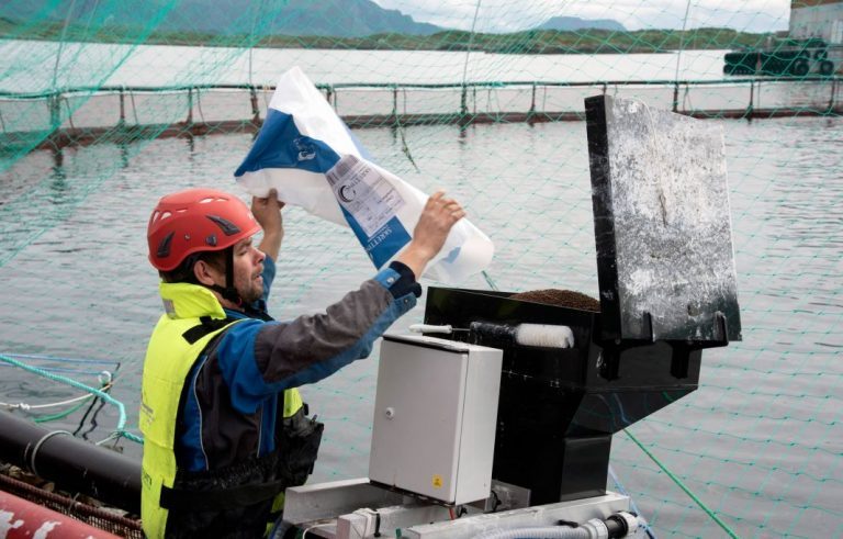 What recruiting agencies look for when searching for leadership candidates in the aquaculture industry
