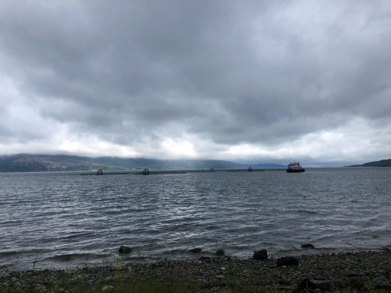 When salmon stocks are more valuable than cash