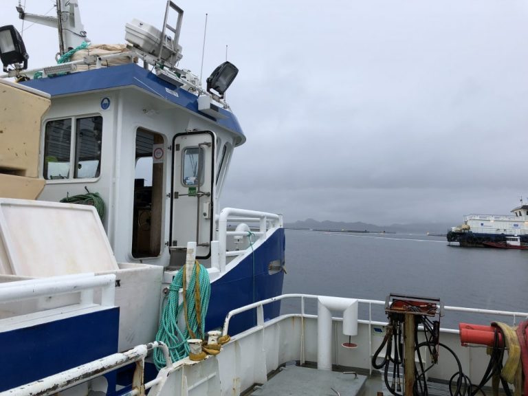 Salmon price under pressure in silent market