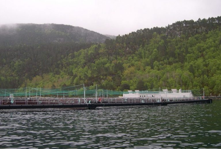 Mowi buys K. Strømmen Lakseoppdrett for EUR 82 million
