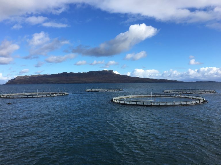 Does aquaculture qualify for sustainable investing?