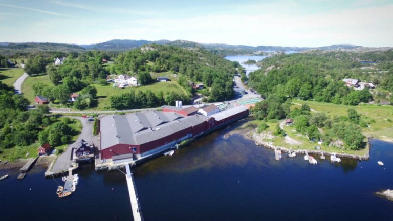 100,000 fry die at Alsaker-owned smolt plant