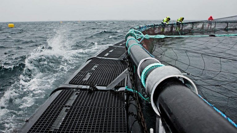Salmon farm equipment supplier almost doubled its operating profit in 2018