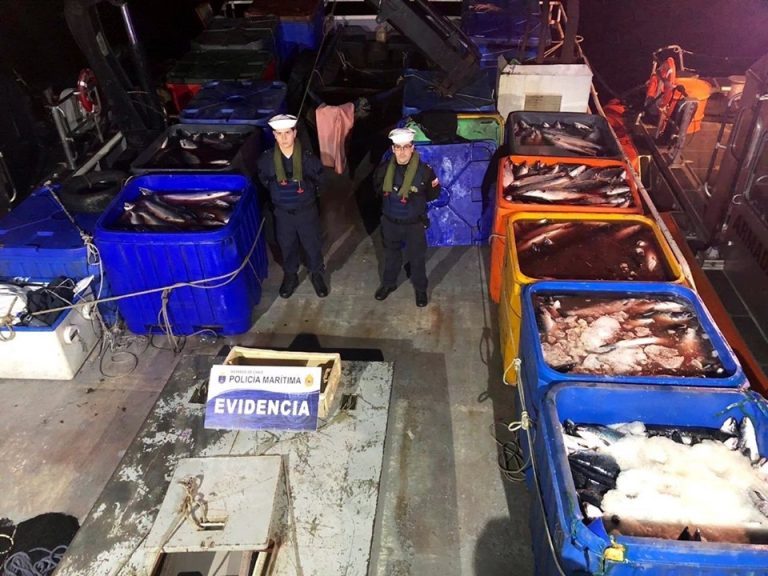 Authorities seize 25 tonnes of stolen salmon