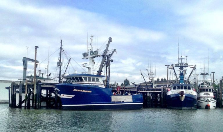 Son of Icicle Seafoods founder has 37-tonne salmon catch confiscated for allegedly fishing in closed waters