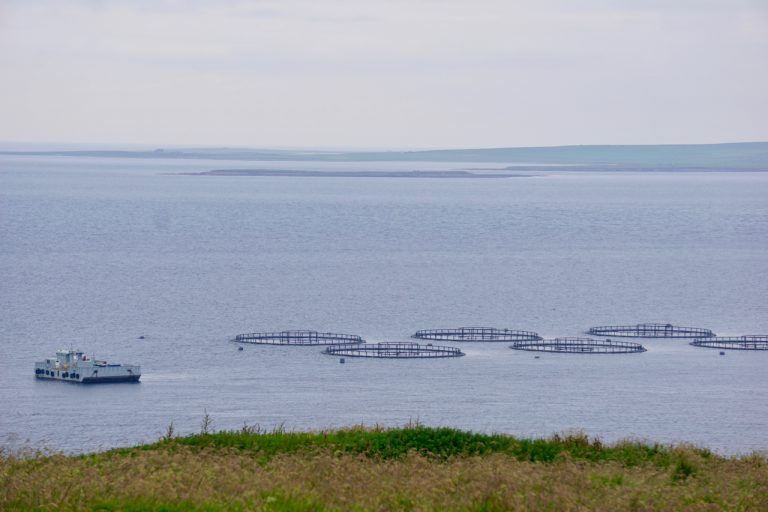 Salmon farmer to build eco homes on remote island for workers