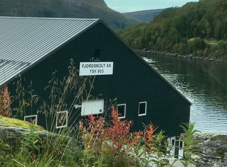Thousands of salmon escape from land-based site