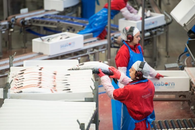 Supply contraction sends salmon prices up