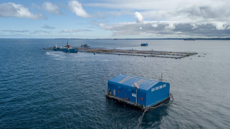 Fleets can produce around hundred tons of oxygen per day to Chile’s fish farms: “Demand is steadily increasing”