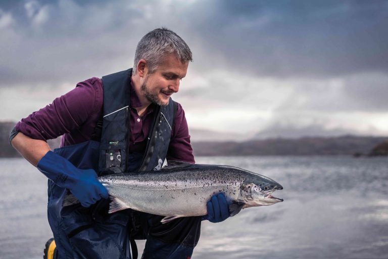 Research group involving SAIC, Loch Duart and more to work together to study different water conditions on gill health