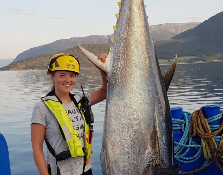 Lerøy technician poses with ENORMOUS tuna that was trapped in salmon cage