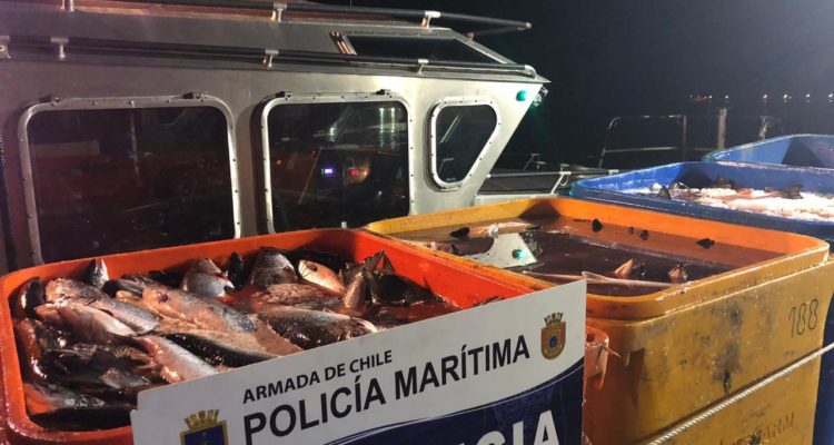 New “chemical footprint” study will work with police to track stolen salmon