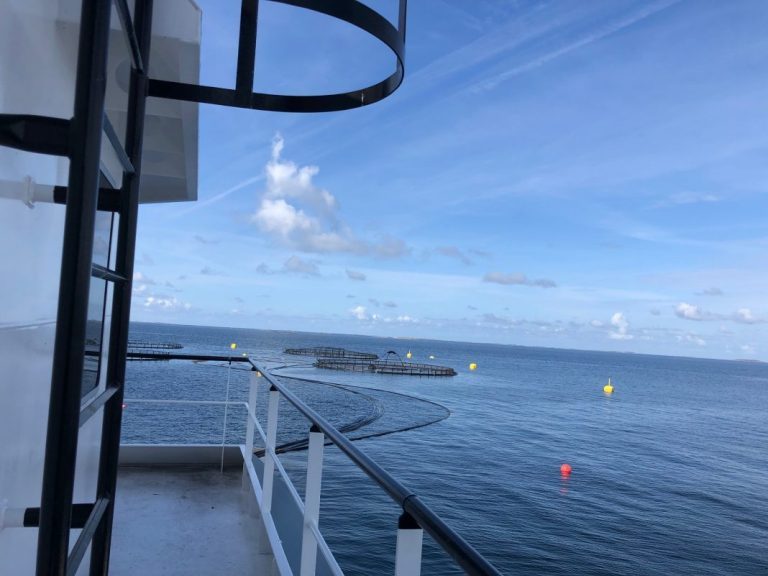 These were Norway’s 20 most profitable salmon farmers in 2018