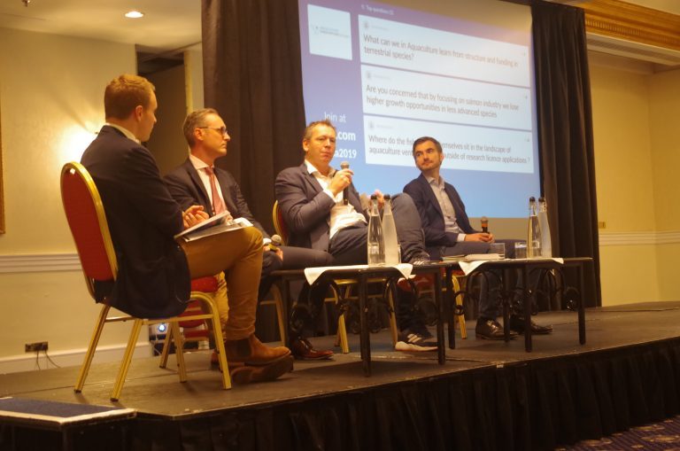 What are investors looking for in salmon farming start ups?