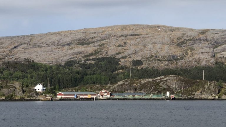 Oxygen fault kills 39,600 salmon at smolt plant