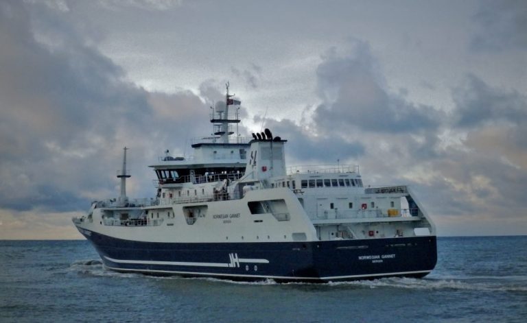 Mowi using “Norwegian Gannet” to process salmon in Scotland