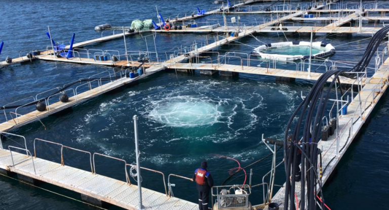 “We call it a volcano and the fish seem to thrive in the oxygen-rich waters”