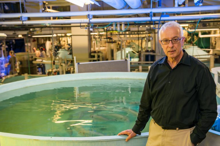 Million dollar study on US land-based salmon farms will look to “reduce trade deficit associated with imports”