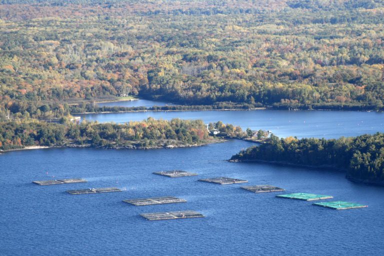Ontario’s largest trout producer feeling the heat of climate change