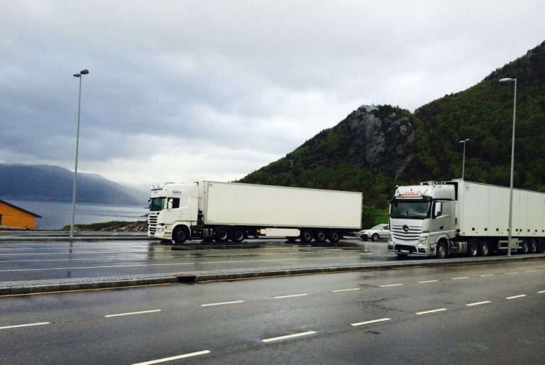 Processing plants running double shifts: More than 28,000 tonnes of salmon exported last week