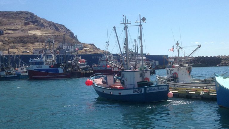 Young’s Seafood and Sainsbury’s fund study into impact of ‘Ghost Gear’