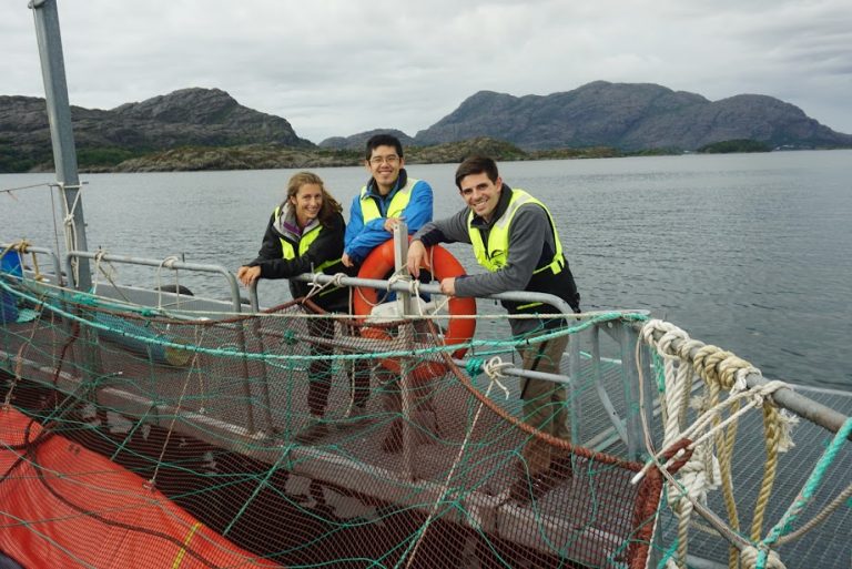 Use of lumpfish to fight sea lice is declining