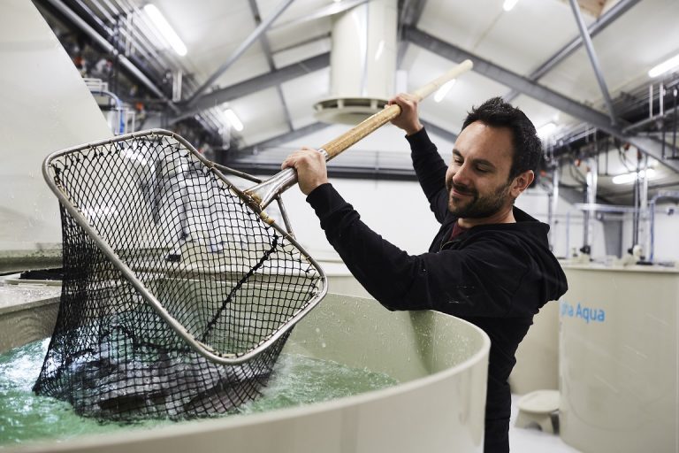 BioMar hires global experts to ‘accelerate’ the development of feed solutions with RAS technology