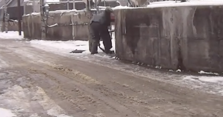 Disturbing undercover video shows animal cruelty at Cooke salmon hatchery: “We are not happy about this”