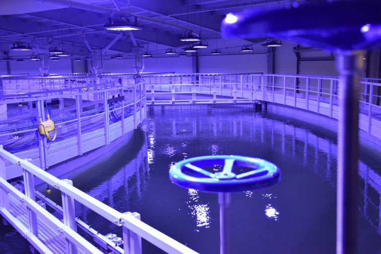 The first salmon from Fredrikstad Seafoods will be ready for delivery in June next year