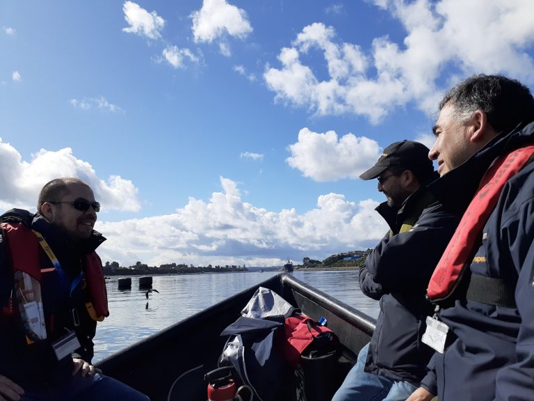5,000 fish recaptured from Salmones Aysen Chile escape