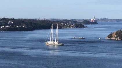IMG_3174
