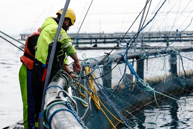 Mowi confirms closure of Loch Ewe