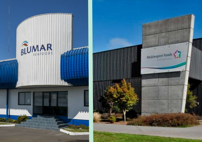 Multiexport and Blumar form joint venture to build new salmon processing plant