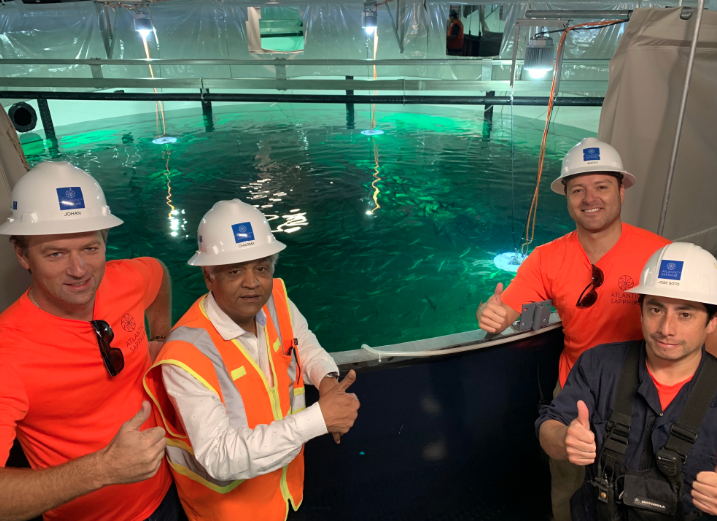 Skretting wins global contract to supply Atlantic Sapphire’s land-based salmon farms