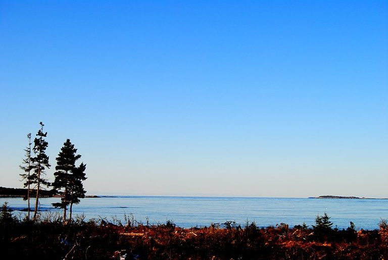 Cermaq Canada adds area of interest in Nova Scotia for expansion