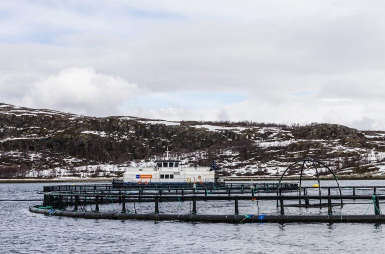 Salmon escape from ISA suspected site