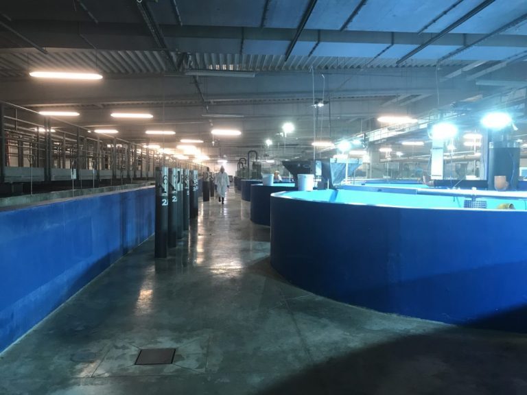 Aqua Maof farm 17 different species – on land